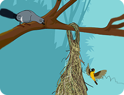 என்னால் முடியும்